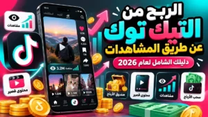 شرح الربح من التيك توك عن طريق المشاهدات في أكاديمية النخيلي
